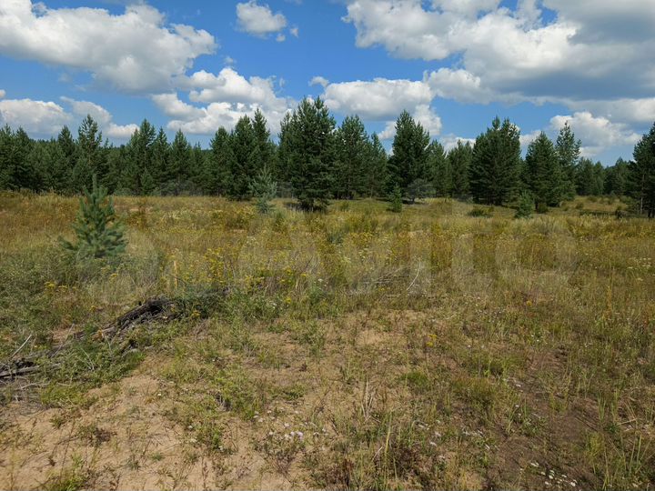 Участок 8 сот. (ИЖС)