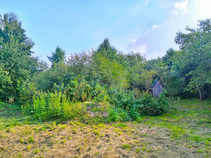 Участок 32 сот. (ИЖС)