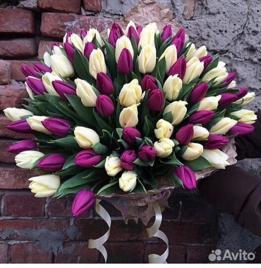 Тюльпаны к 8 марта розница