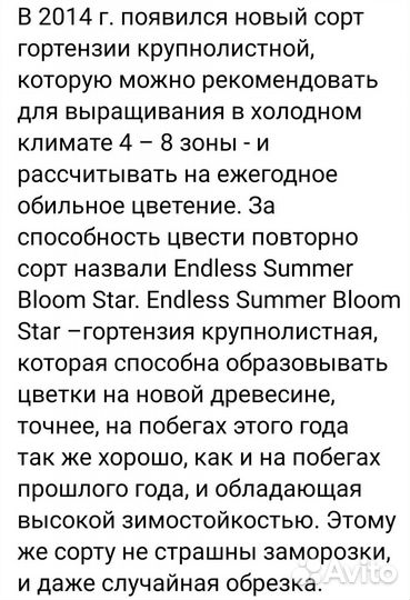 Гортензия Блум стар