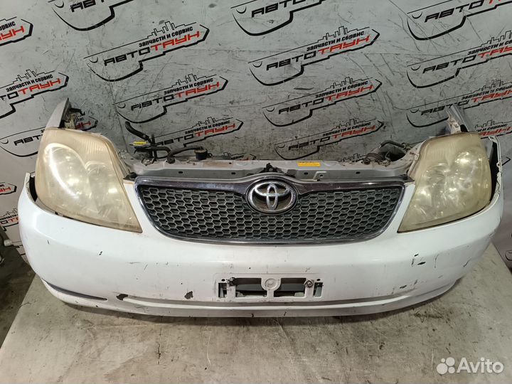 Nosecut toyota allex corolla corolla fielder corolla runx. NZE124G ZZE120 ZZE121 ZZE122 ZZE122G ZZE1