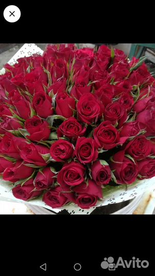 Букет из 51 розы