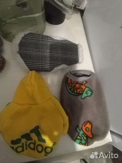 Одежда для маленьких собак