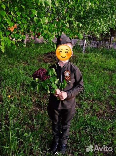 Военная форма