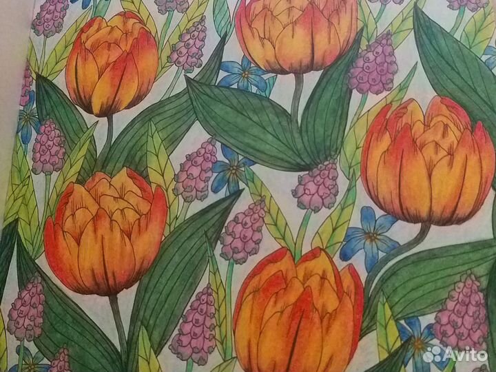 Раскраска антистресс