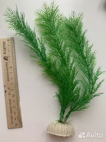 Обмен на анубиас Украшение для аквариума