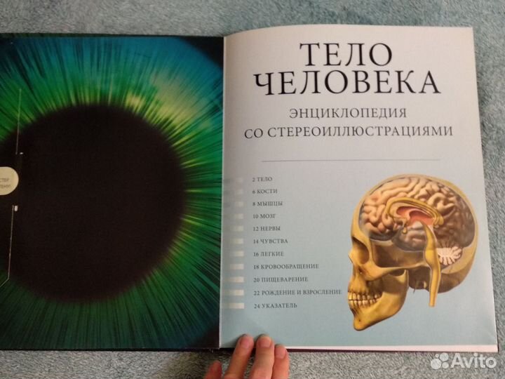 Книга энциклопедия тело человека в картинках Эксмо