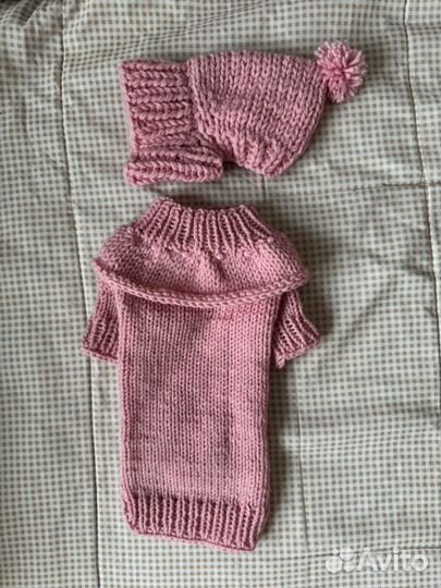 Все для маленькой собачки. 8 предметов