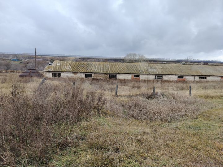 Здание, 703.4 м²