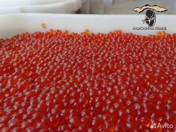 Красная икра оптом