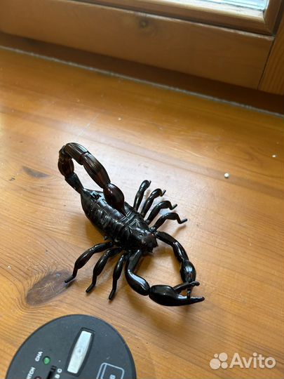 Паук на пульте