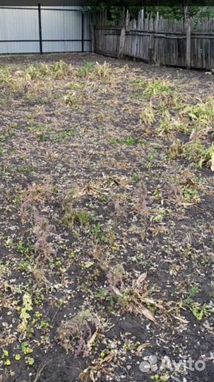 Гербицид торнадо 540