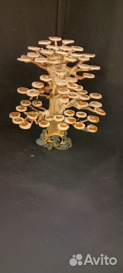 Подводный лес в аквариуме