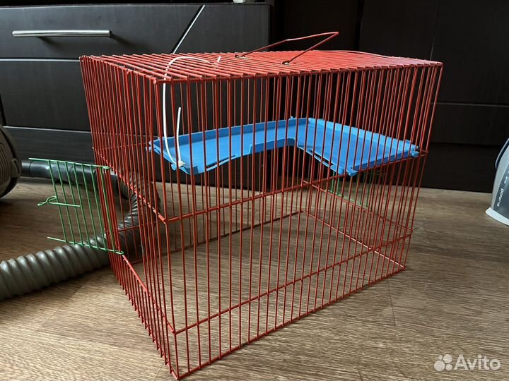 Клека для грызунов