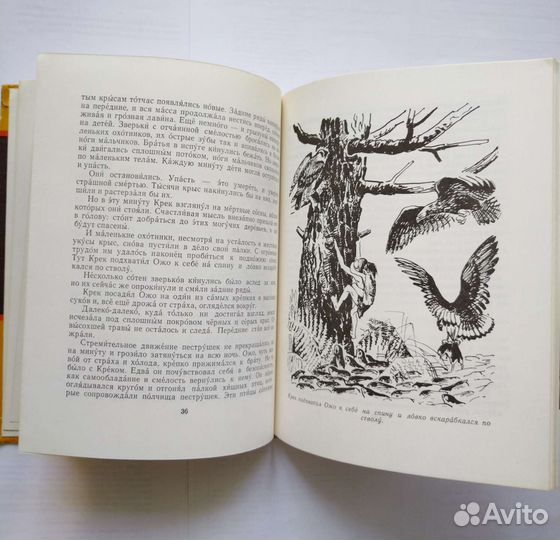 Д'Эрвильи.Приключения доисторического мальчика1973