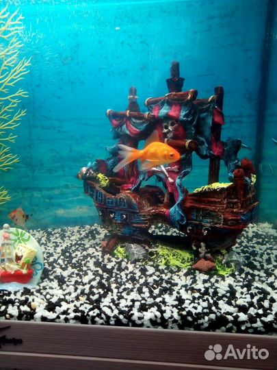 Аквариум с тумбой 60 л