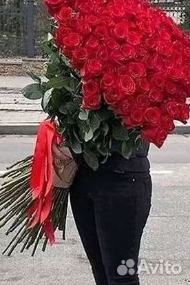 Розы Букеты Цветы Розы 31 101 151 201 Доставка