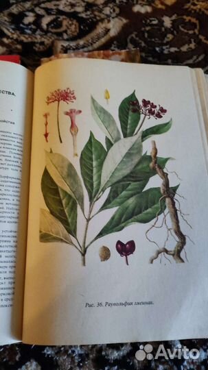 Книги - травники