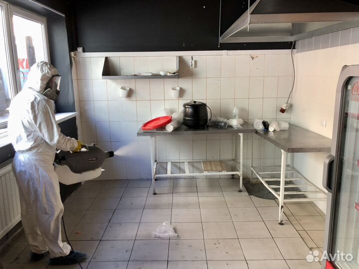 Уничтожение тараканов, клопов, крыс