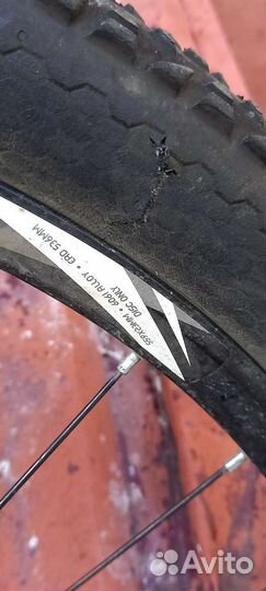 Black market malice 22