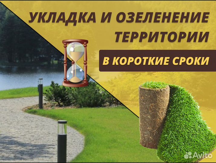 Рулонный газон Элитный под ключ
