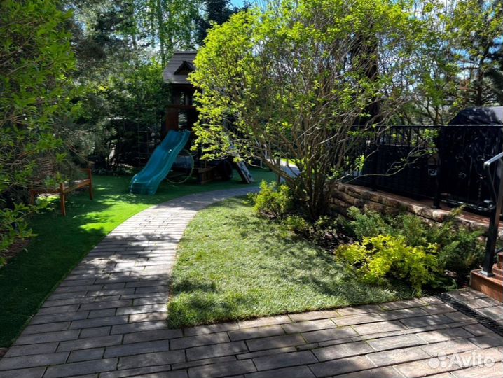 Красивый рулонный газон от профессионалов