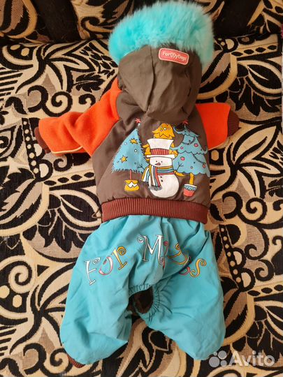 Костюмы для маленьких собачек