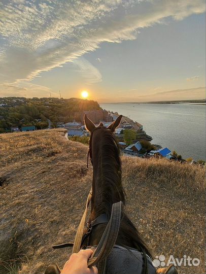 Конные прогулки