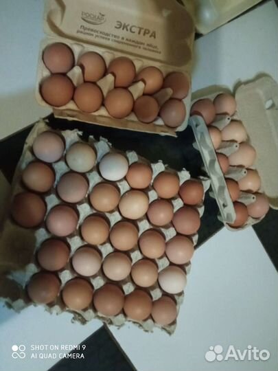 Яйца деревенские