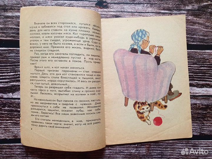 Рябинин. Дружище Котька. 1972 г