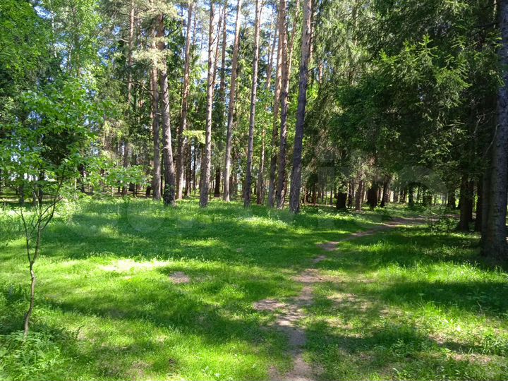 Участок 3,04 га (СНТ, ДНП)
