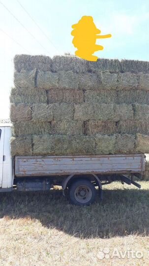 Сено в тюках
