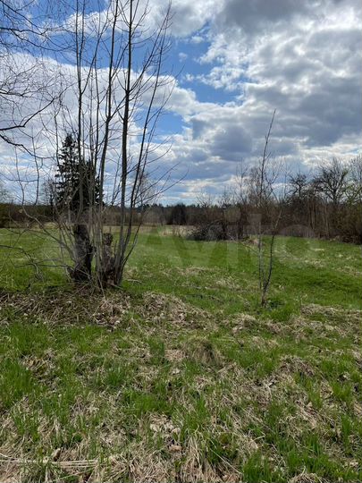 Участок 25 сот. (ИЖС)