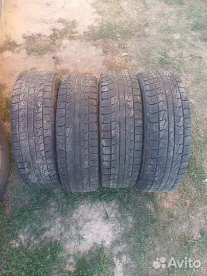 Nexen Winguard Ice 185/65 R15