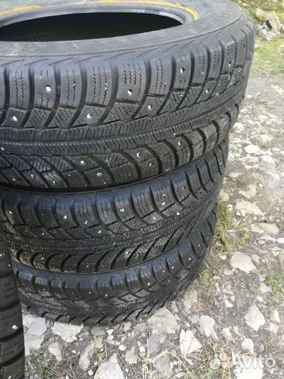 Gislaved Nord Frost 5 175/65 R14