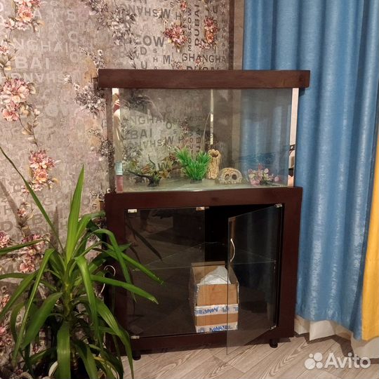 Аквариум угловой с тумбой