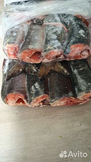 Горбуша потрошеная