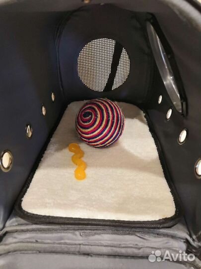 Переноска для животных бу