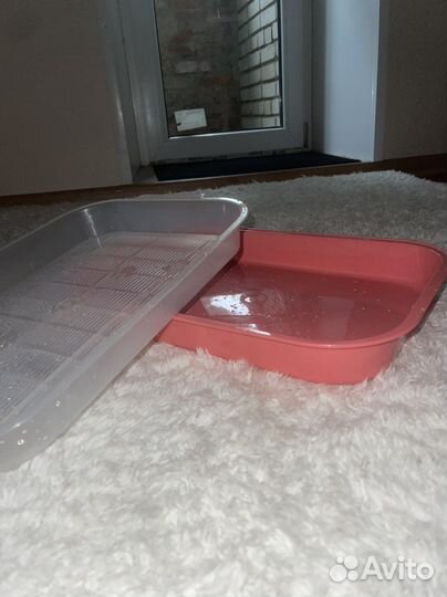 Новый лоток