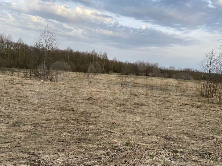 Участок 9,1 га (СНТ, ДНП)