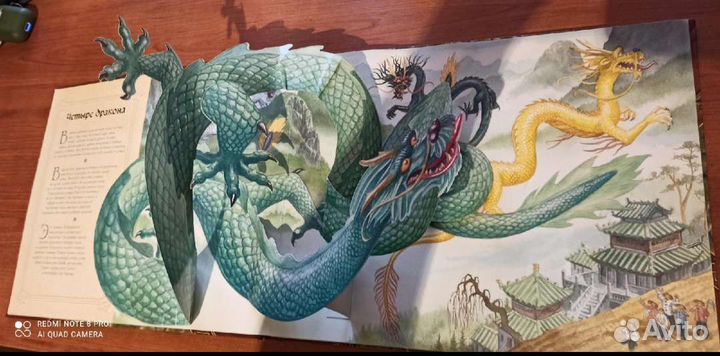 Книга раскладушка с объёмными картинками