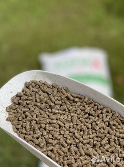 Корм для форели и осетра