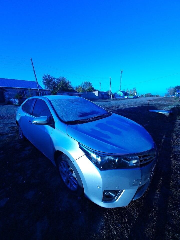 Toyota Corolla: фото владельца