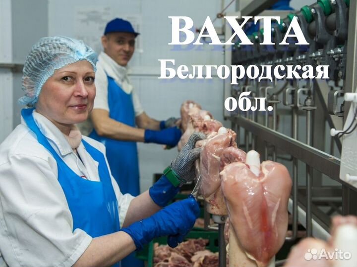 Обработчик птицы. Белгородская обл. вахта 30/45/60