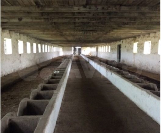 Участок 3,5 га (СНТ, ДНП)