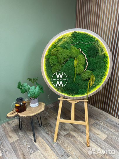 Панно, картина из стабилизированного мха и амарант