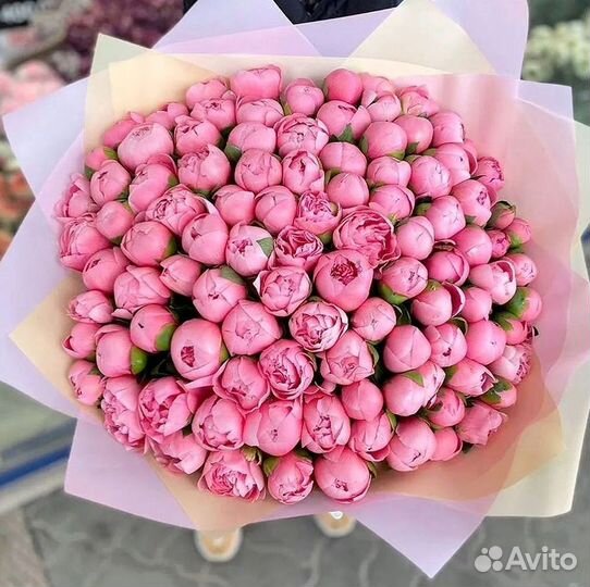 Пионы Букет пионов 25 11 19 9