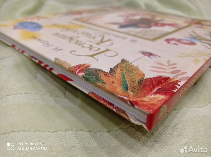 Господин куцехвост И инопланетяне