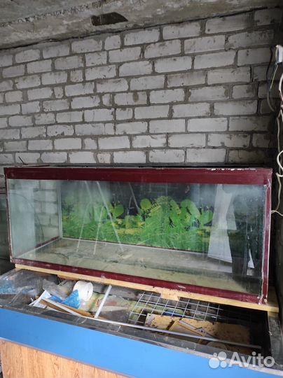 Аквариум