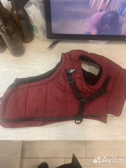 Жилетка для собак
